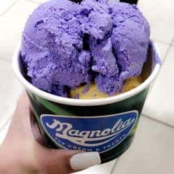 Magnolia Ice Cream & Treats